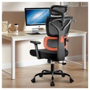 Winrise Ergonomic Office Chair